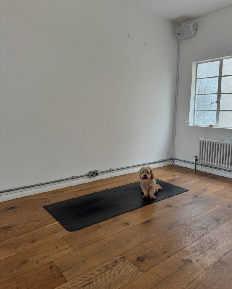 Samya Studios Cobble Ln London 7 768x958