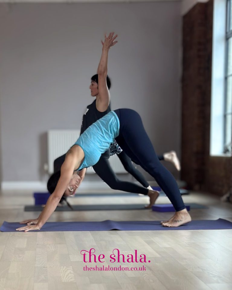 The Shala Yoga Centre Norwood London Health Fitness London 1 768x960