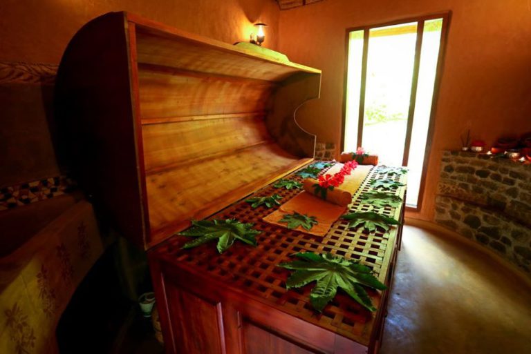 Herbs of Nature Ltd Ayurveda Panchakarma Treatment Centre Hayes London Health Fitness London 4 768x513