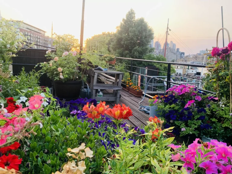 Sahana Ayurveda Mill St London Health Fitness London 3 768x576